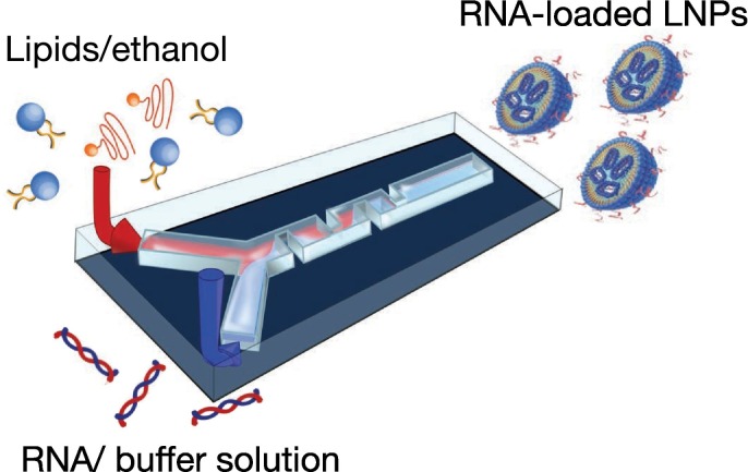 用于RNA递送的脂质纳米颗粒制备装置LNPEngine